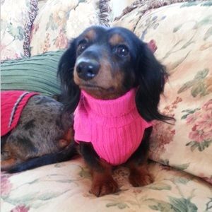 Meet your Posher, Julia